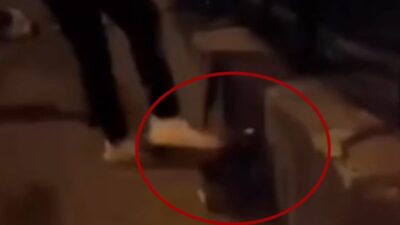 Isparta’da bir kediyi tekmeleyen B.Y. (24), görüntülerin sosyal medyada infial