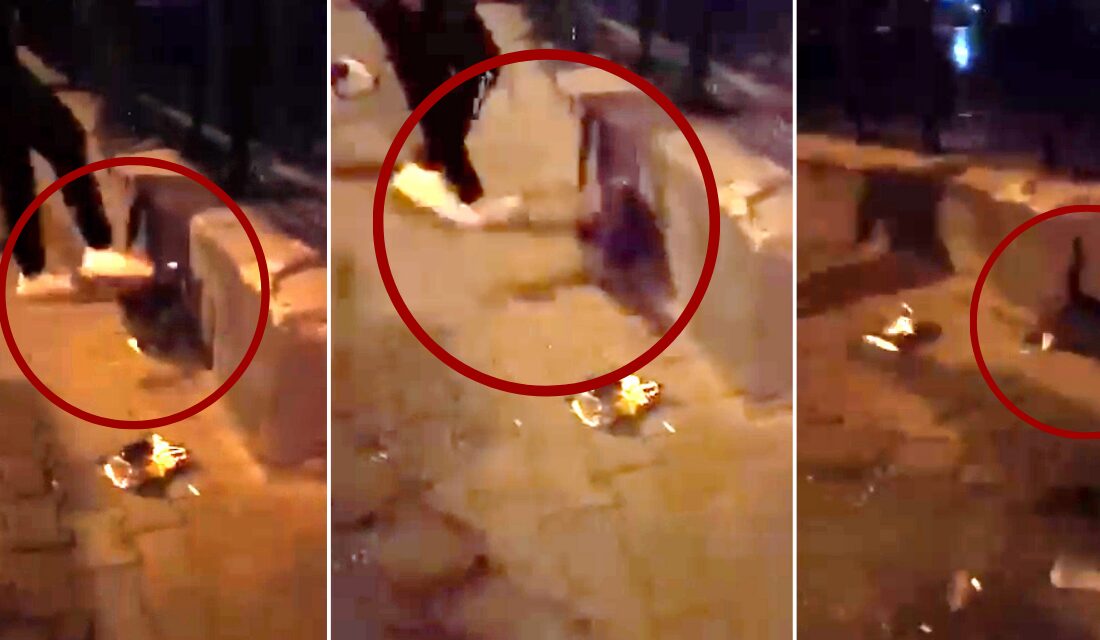 Isparta'nın Yedişehitler Mahallesi'nde köpeğini gezdiren B.Y.’nin, önünde yürüyen kediye tekme