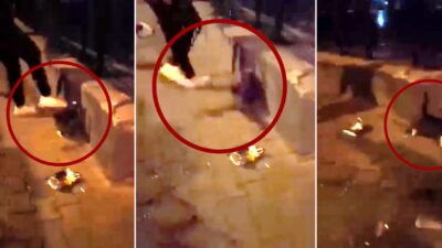 Isparta'nın Yedişehitler Mahallesi'nde köpeğini gezdiren B.Y.’nin, önünde yürüyen kediye tekme