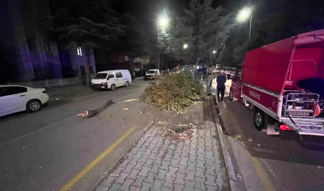 Isparta'da ağaca çarpıp takla atan Tofaş marka otomobilden itfaiye ekiplerince