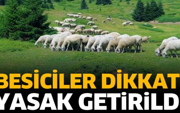 Besiciler dikkat! Yasak getirildi