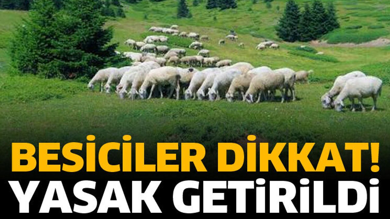 Besiciler dikkat! Yasak getirildi