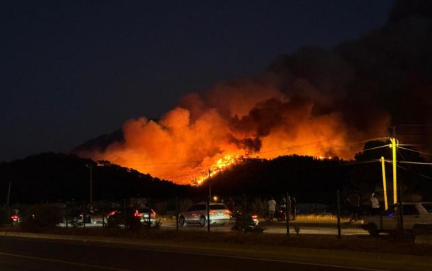 Fethiye'de ormanlık alanda çıkan yangın kontrol altına alındı