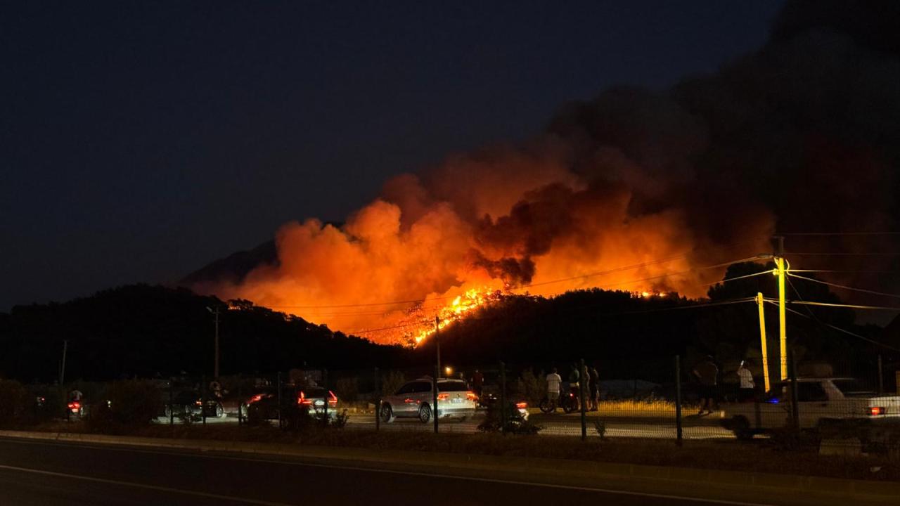Fethiye'de ormanlık alanda çıkan yangın kontrol altına alındı