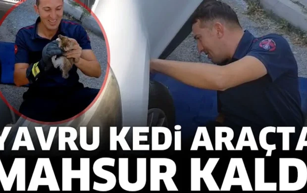 Isparta’da Yavru Kedi için Kurtarma Operasyonu