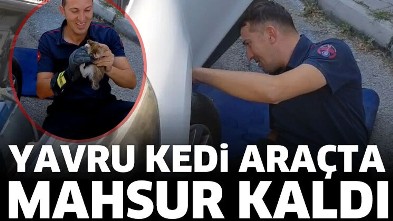Isparta’da Yavru Kedi için Kurtarma Operasyonu
