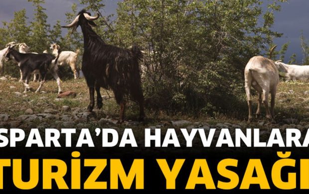 Isparta’da Hayvanlara Turizm Yasağı!