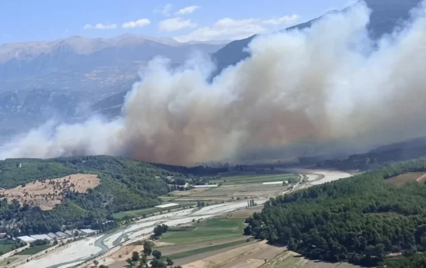 Orman yangınlarıyla ilgili 15 tutuklama