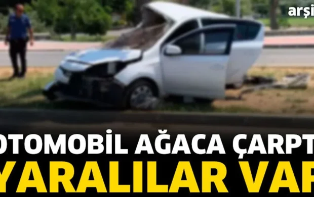 Otomobil ağaca çarptı: 1’i ağır 5 yaralı