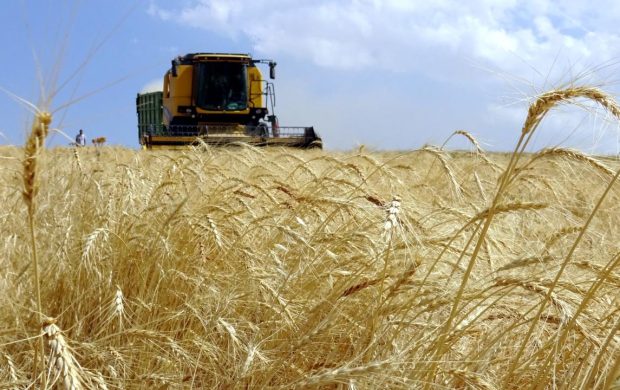 Türkiye tarımsal hasılada dünyada 7'nci, Avrupa'da birinci sırada