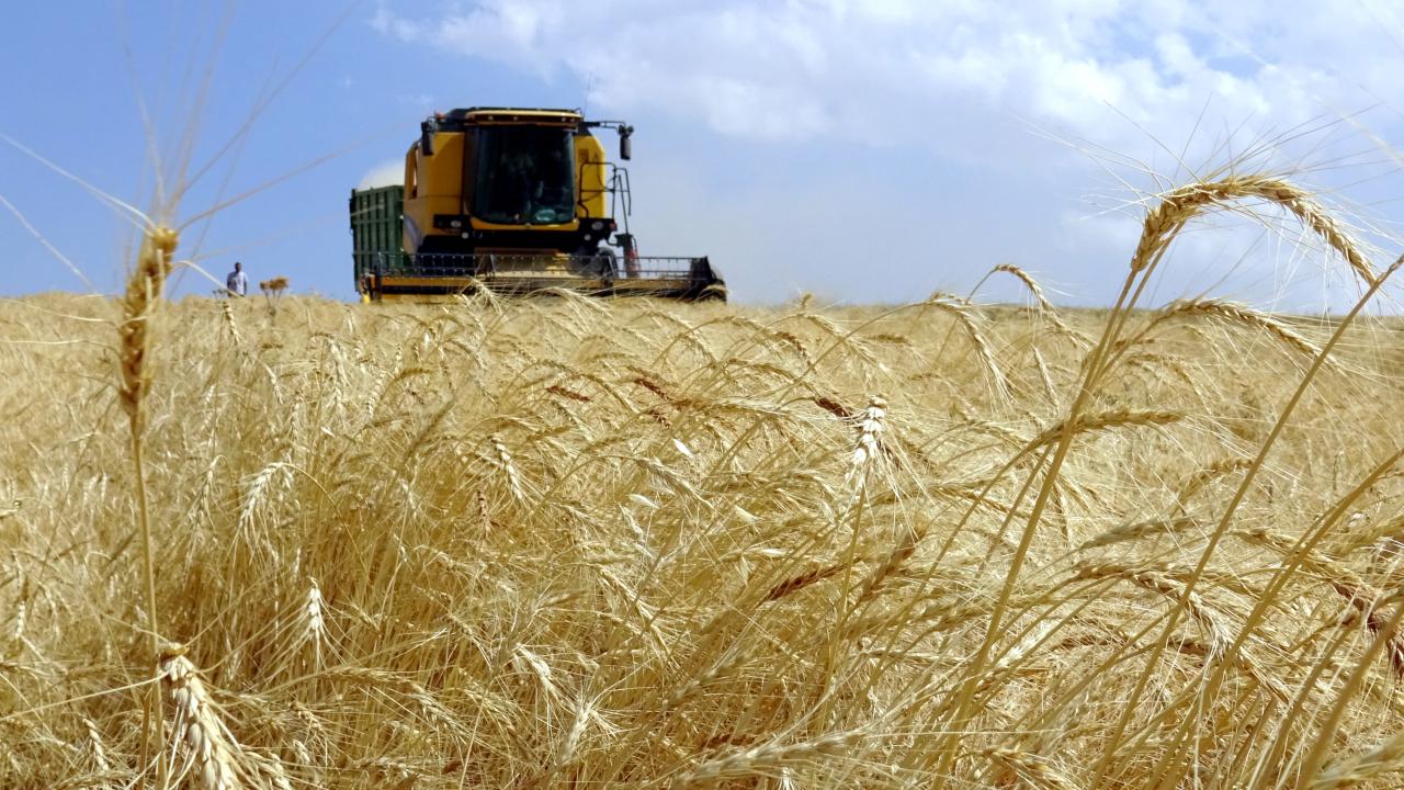 Türkiye tarımsal hasılada dünyada 7'nci, Avrupa'da birinci sırada