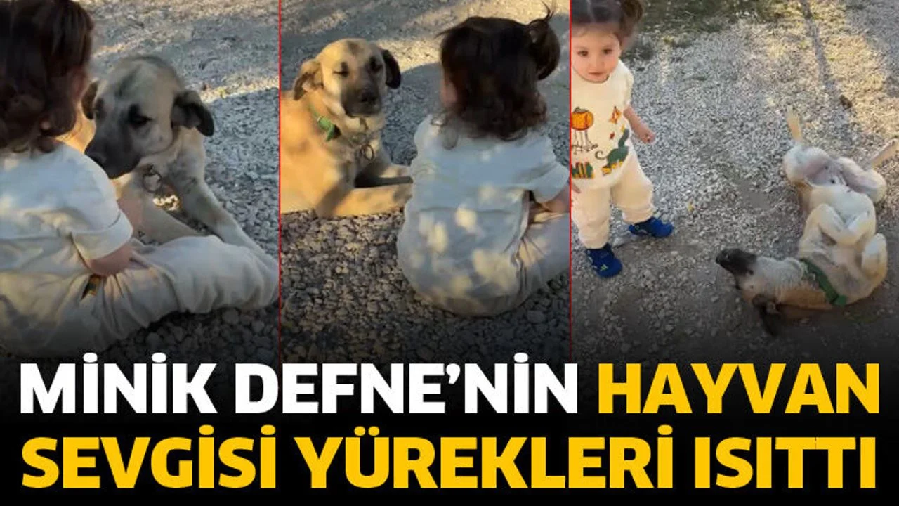 Minik Defne’nin hayvan sevgisi yürekleri ısıttı