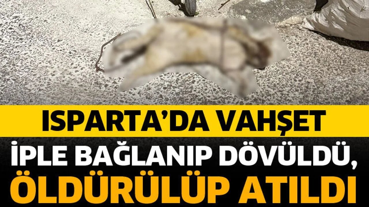 Isparta’da vahşet! İple bağlanıp dövüldü, öldürülüp atıldı