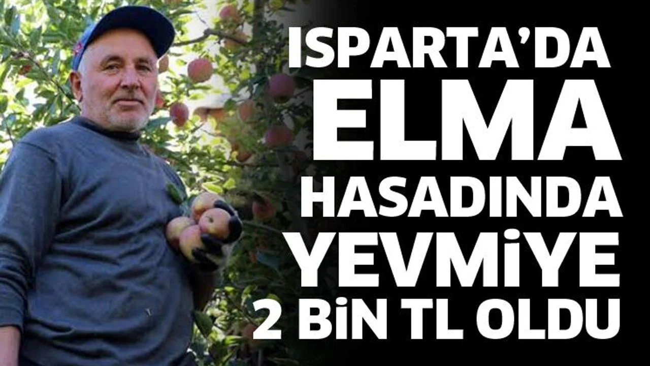 Isparta’da elma hasadında yevmiye 2 bin TL oldu