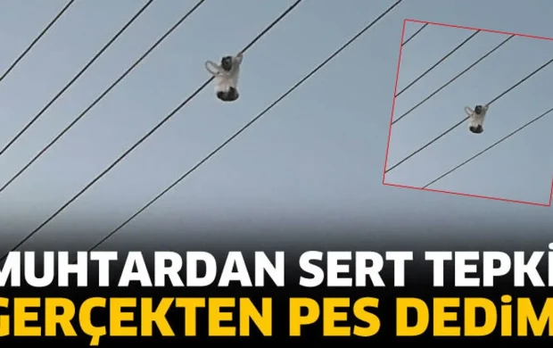 Muhtar Bardak'tan tepki: Bugün gerçekten pes dedim
