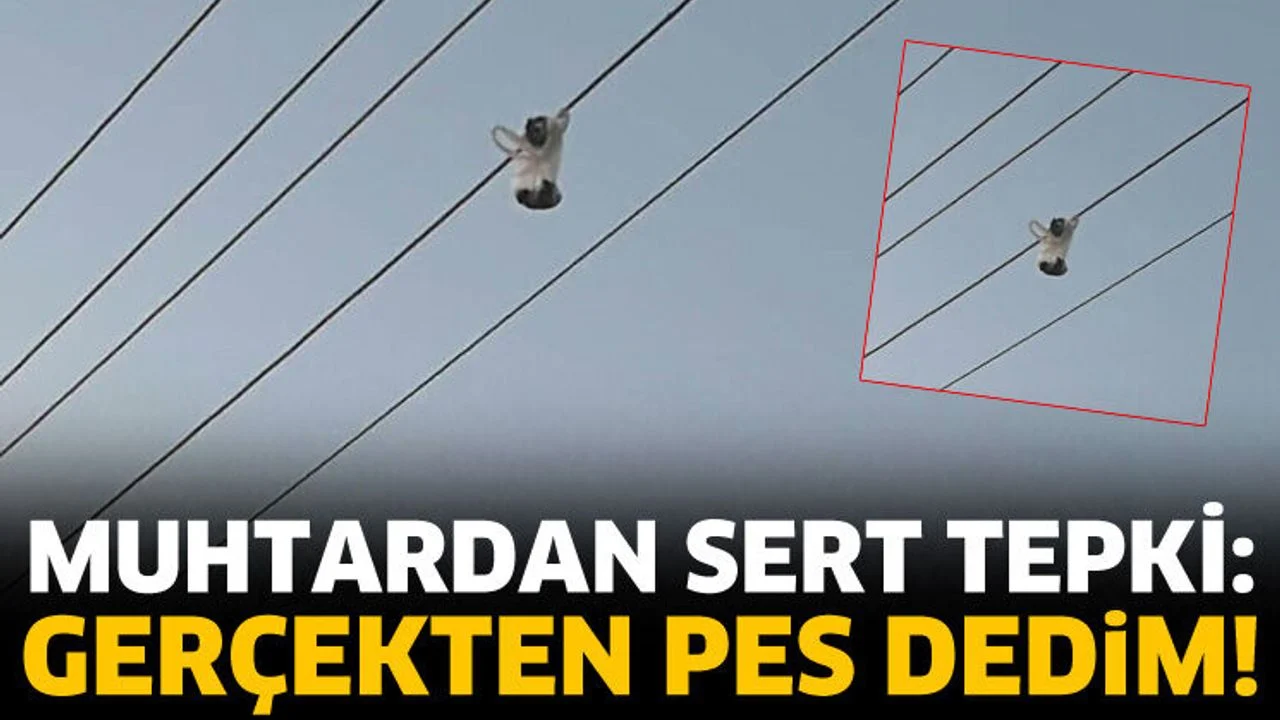 Muhtar Bardak'tan tepki: Bugün gerçekten pes dedim