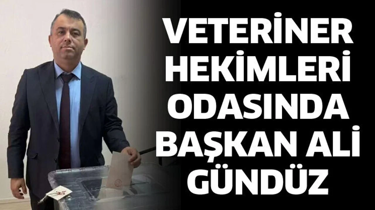 Başkan Ali Gündüz oldu