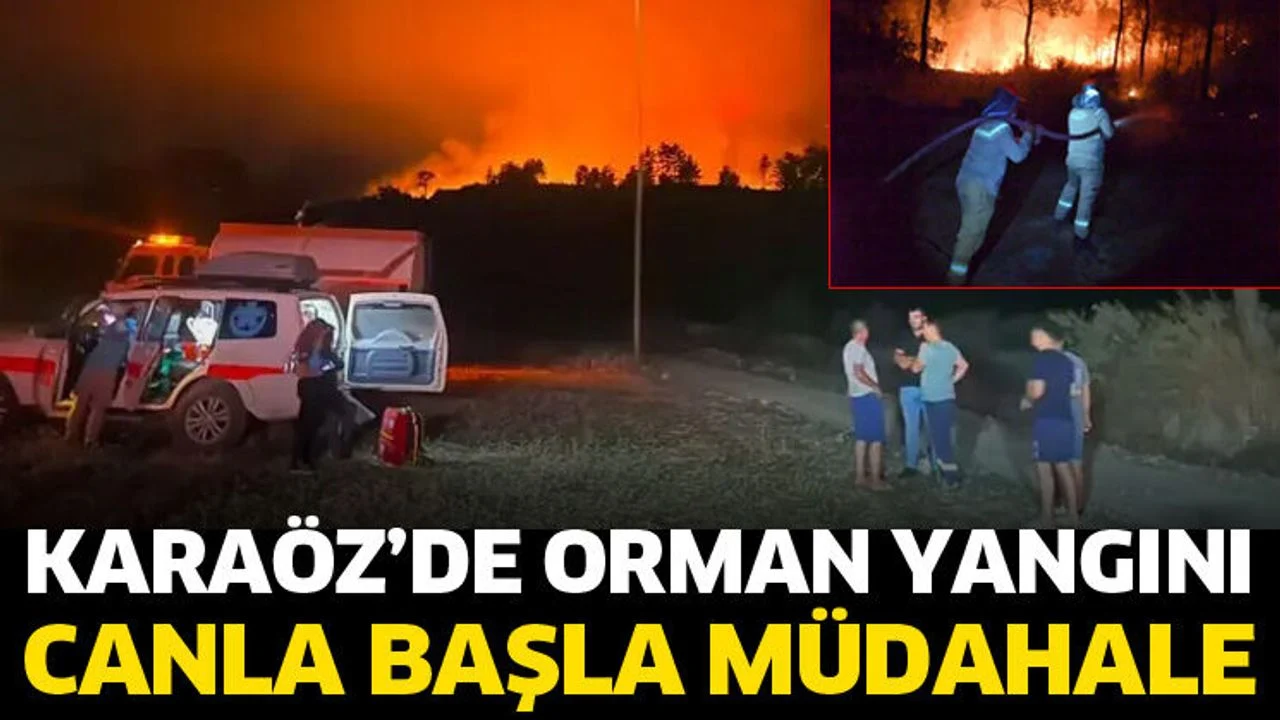Karaöz’de orman yangını