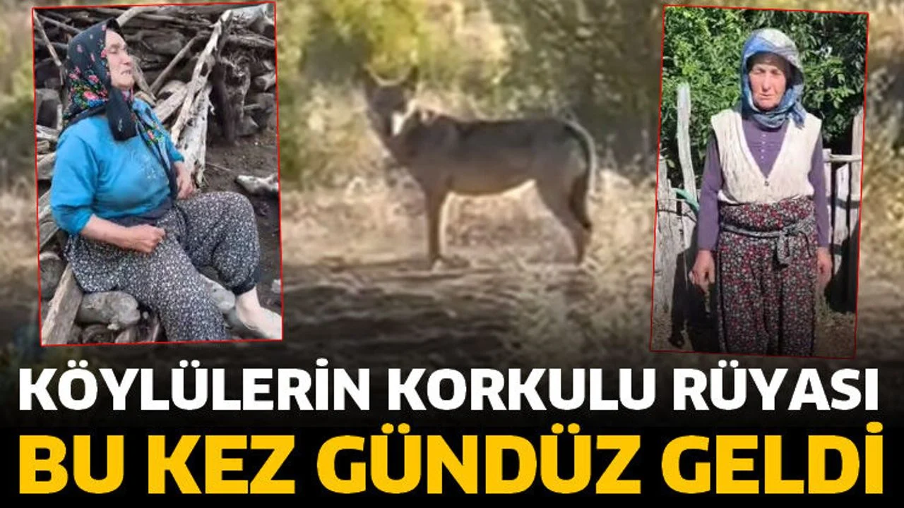 Bu kez gündüz geldi! Korkulu rüya