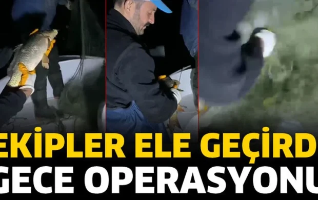 Gece operasyonu! Ekipler ele geçirdi