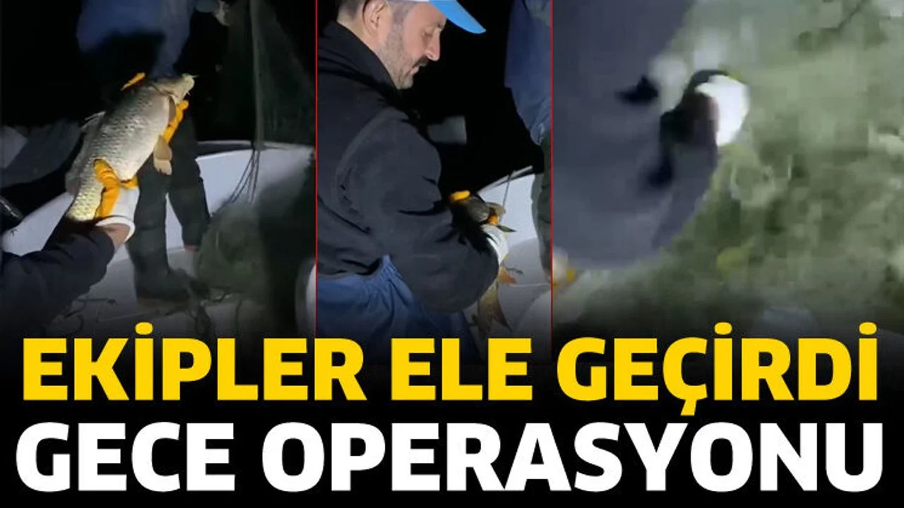 Gece operasyonu! Ekipler ele geçirdi