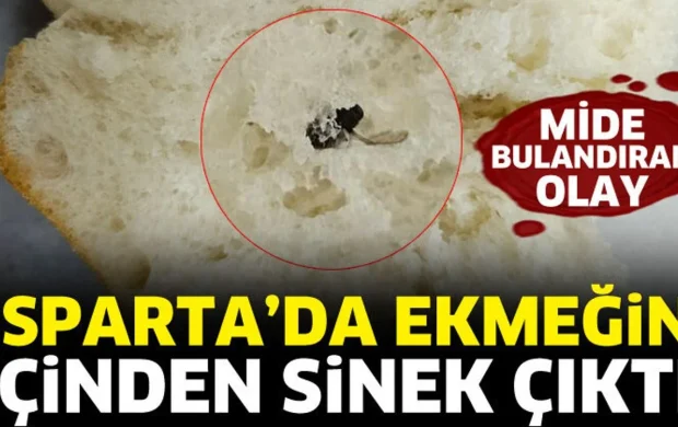 Isparta’da ekmeğin içinden sinek çıktı
