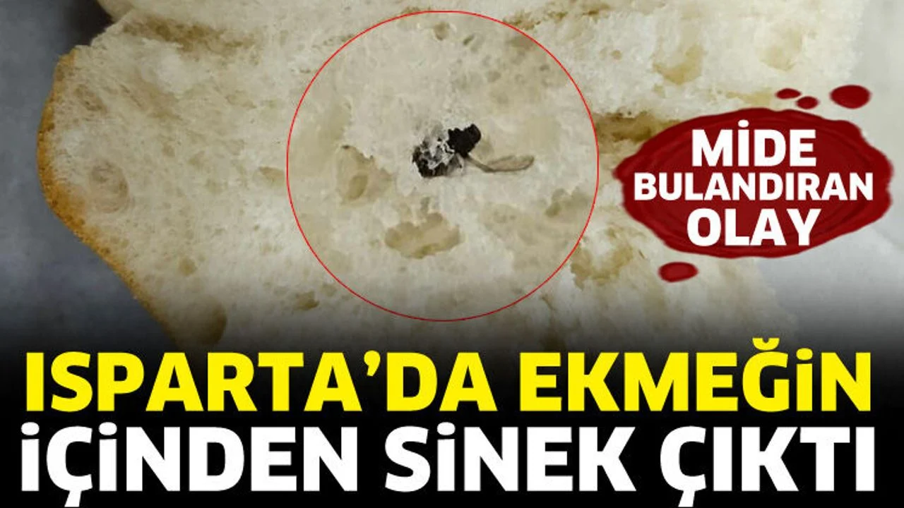 Isparta’da ekmeğin içinden sinek çıktı