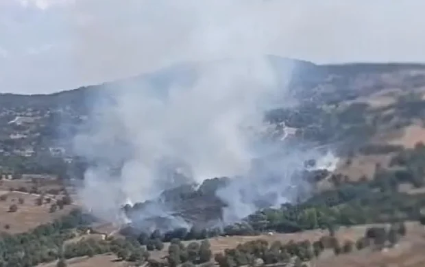 Bursa'da çıkan orman yangınına müdahale ediliyor