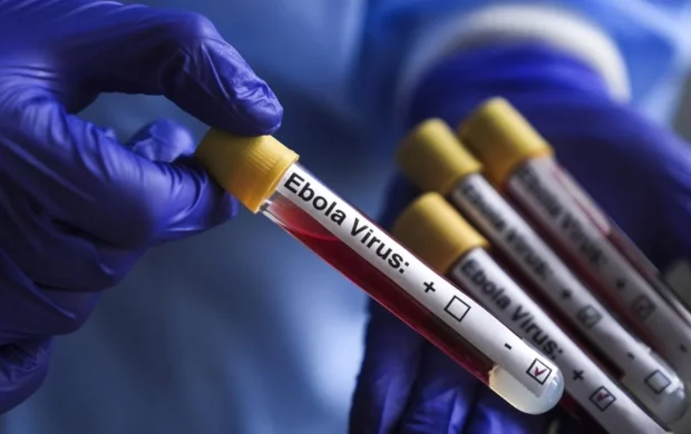 DSÖ: Kongo Demokratik Cumhuriyeti'nde Ebola salgınında 3 bin 267 kişi öldü