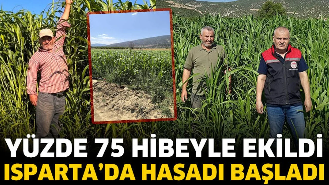 Isparta’da sorgum-sudan otu bereketi