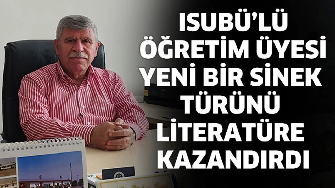 ISUBÜ'lü Öğretim Üyesi Yeni Bir Sinek Türünü Literatüre Kazandırdı