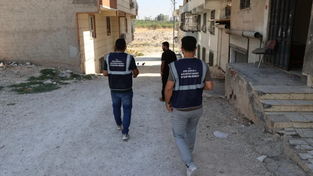 Şanlıurfa'daki depremin ardından hasar tespit çalışmaları sürüyor