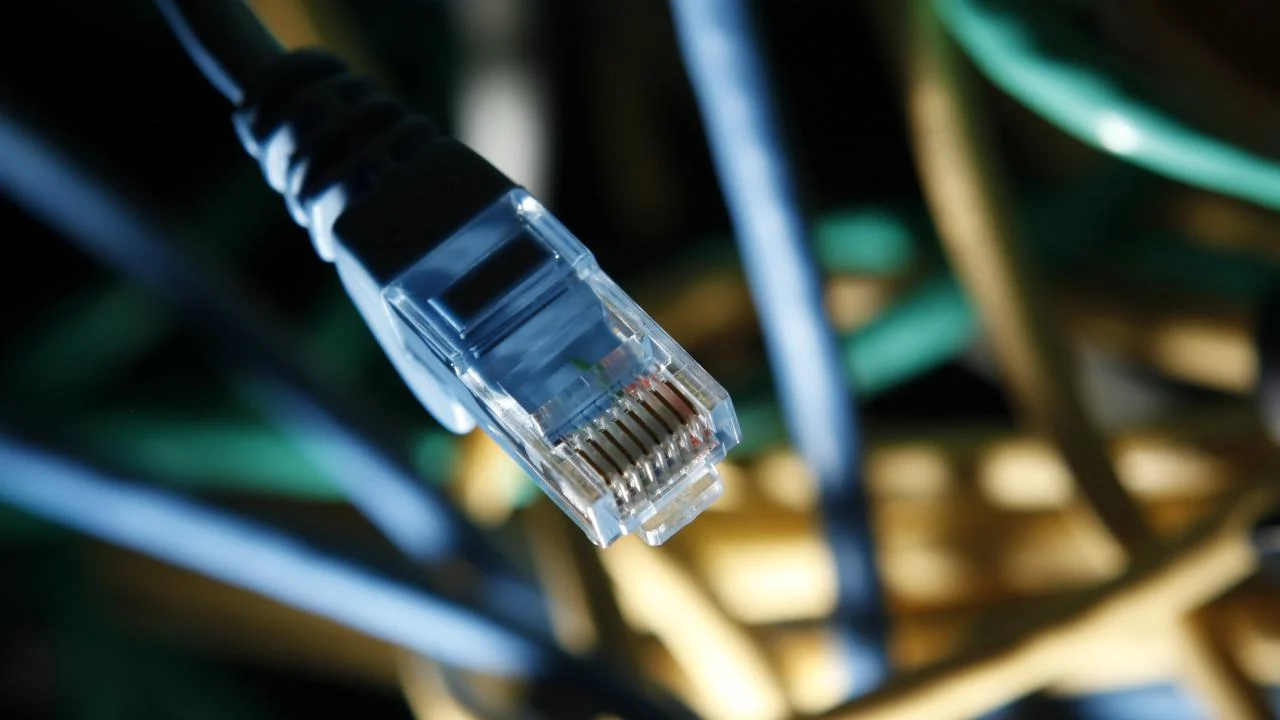 İnternet erişimine sahip girişimlerin oranı yüzde 92,7 oldu