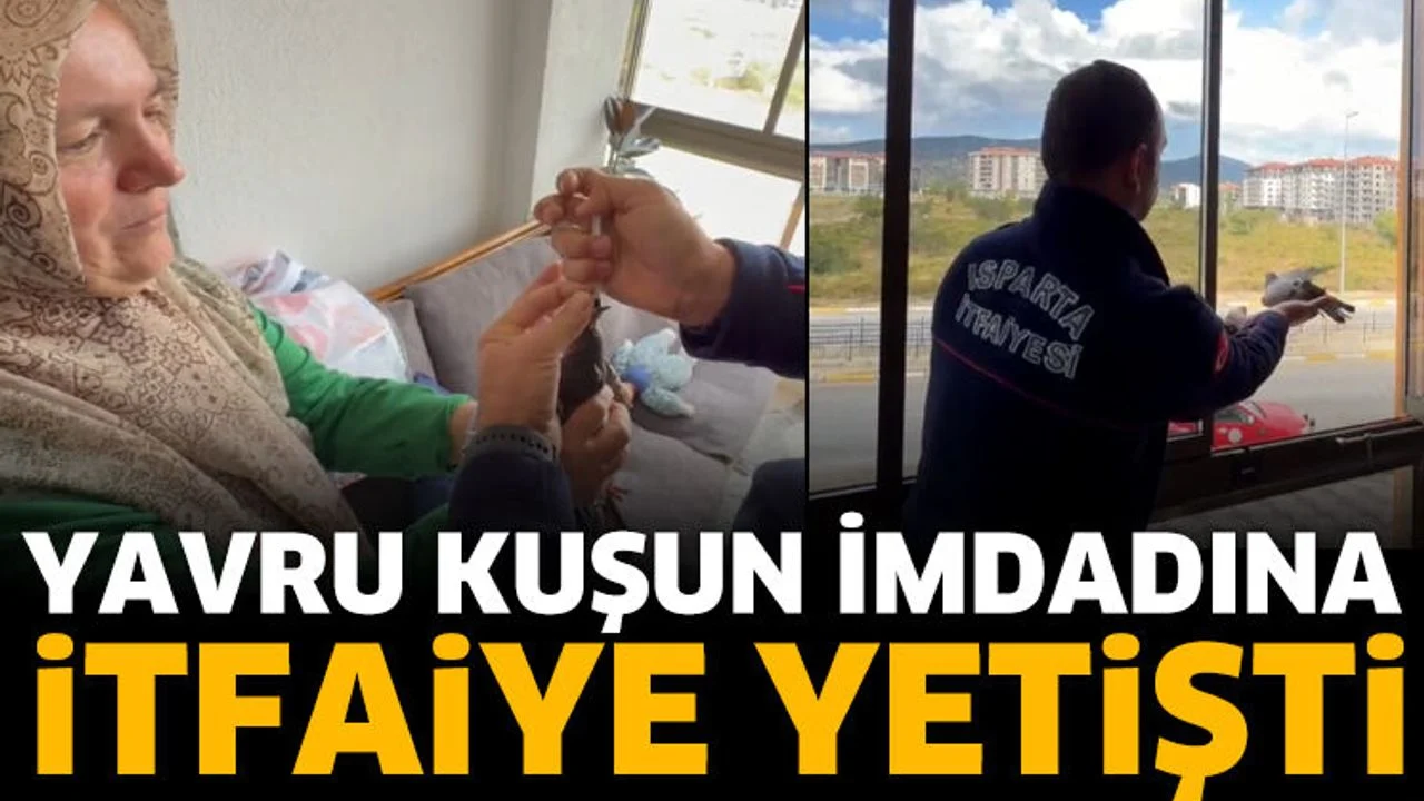 Yavru Kuşun İmdadına İtfaiye Yetişti