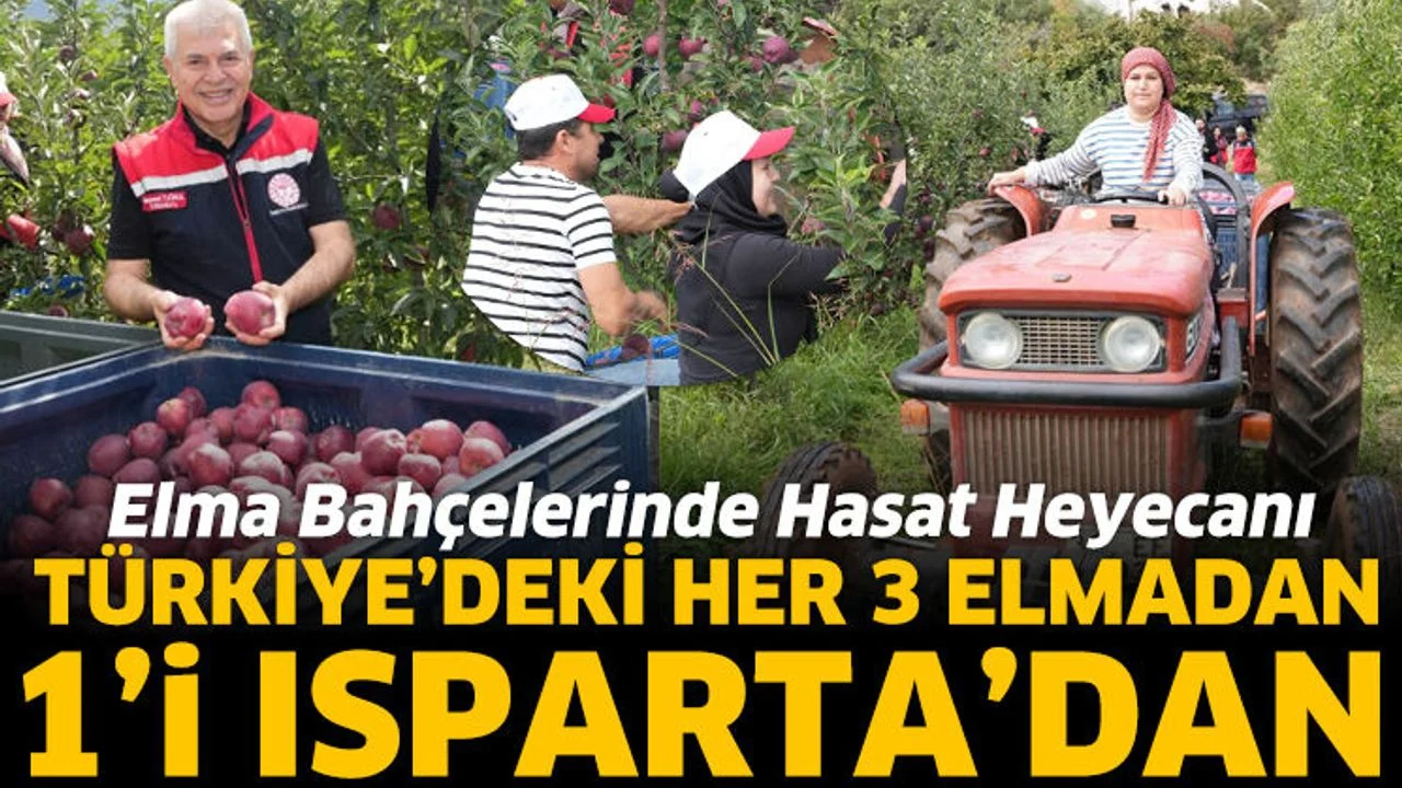 Isparta’da elma hasadı başladı