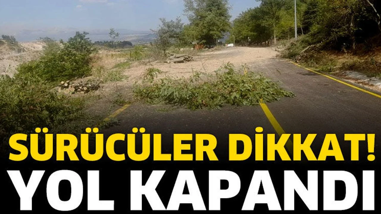 Ağaç Kesimi Nedeniyle Yol Kapandı