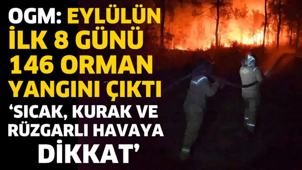 OGM: Eylülün ilk 8 günü 146 orman yangını çıktı