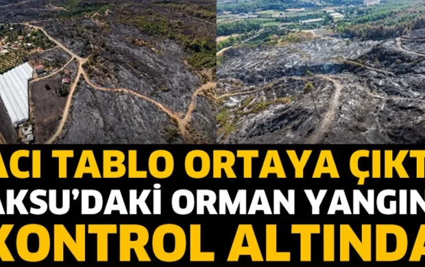Aksu'daki orman yangını kontrol altında