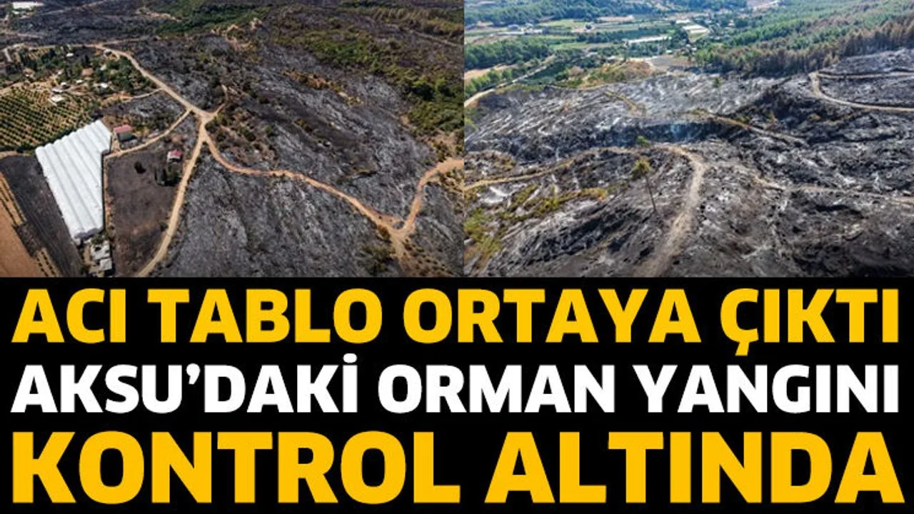Aksu'daki orman yangını kontrol altında