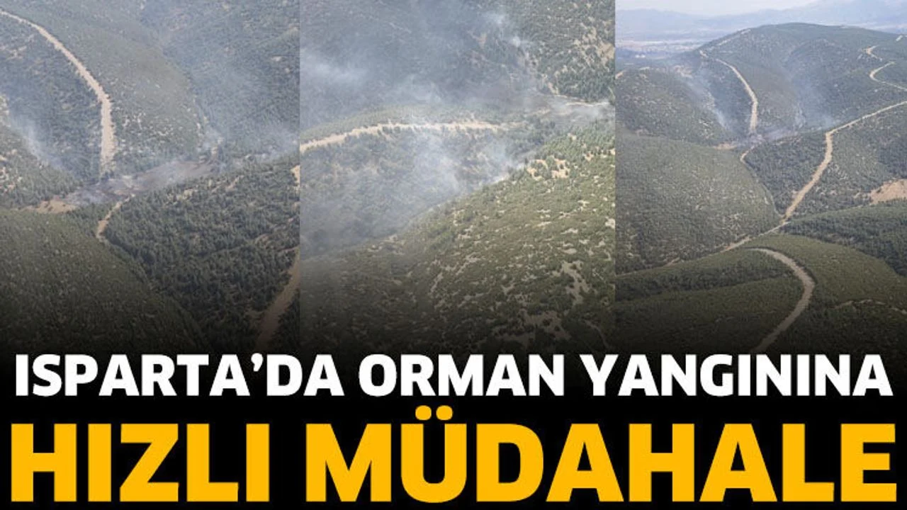 Isparta'da orman yangını