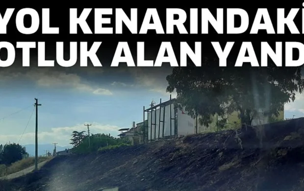Yol kenarındaki otluk alan yandı
