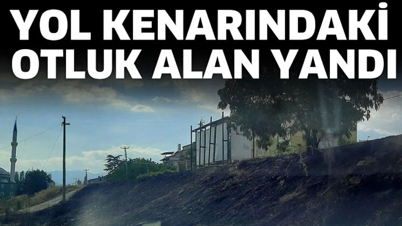 Yol kenarındaki otluk alan yandı