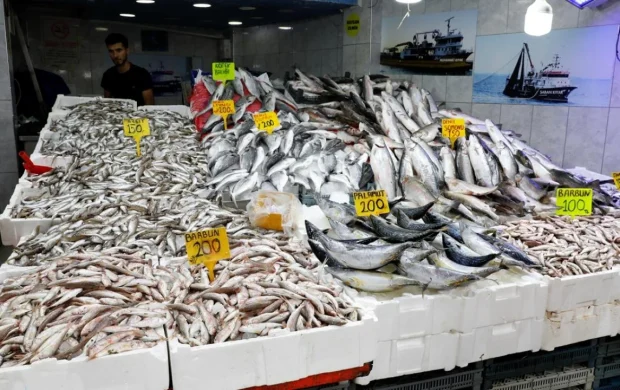 İstanbul'da balık tezgahlarına bolluk geldi
