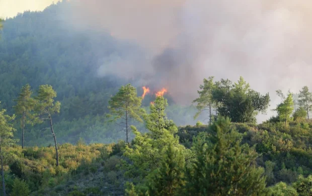 Antalya Serik'teki yangının enerjisi düşürüldü