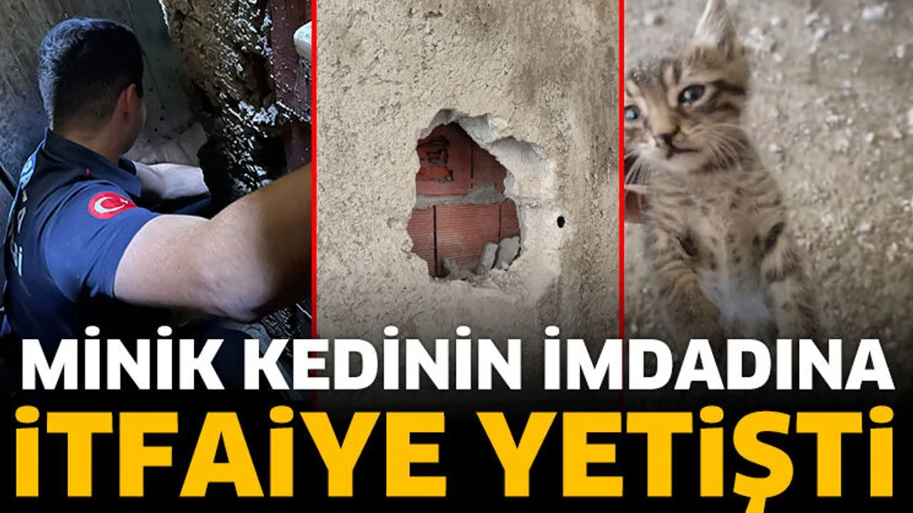 Minik kedinin imdadına itfaiye yetişti