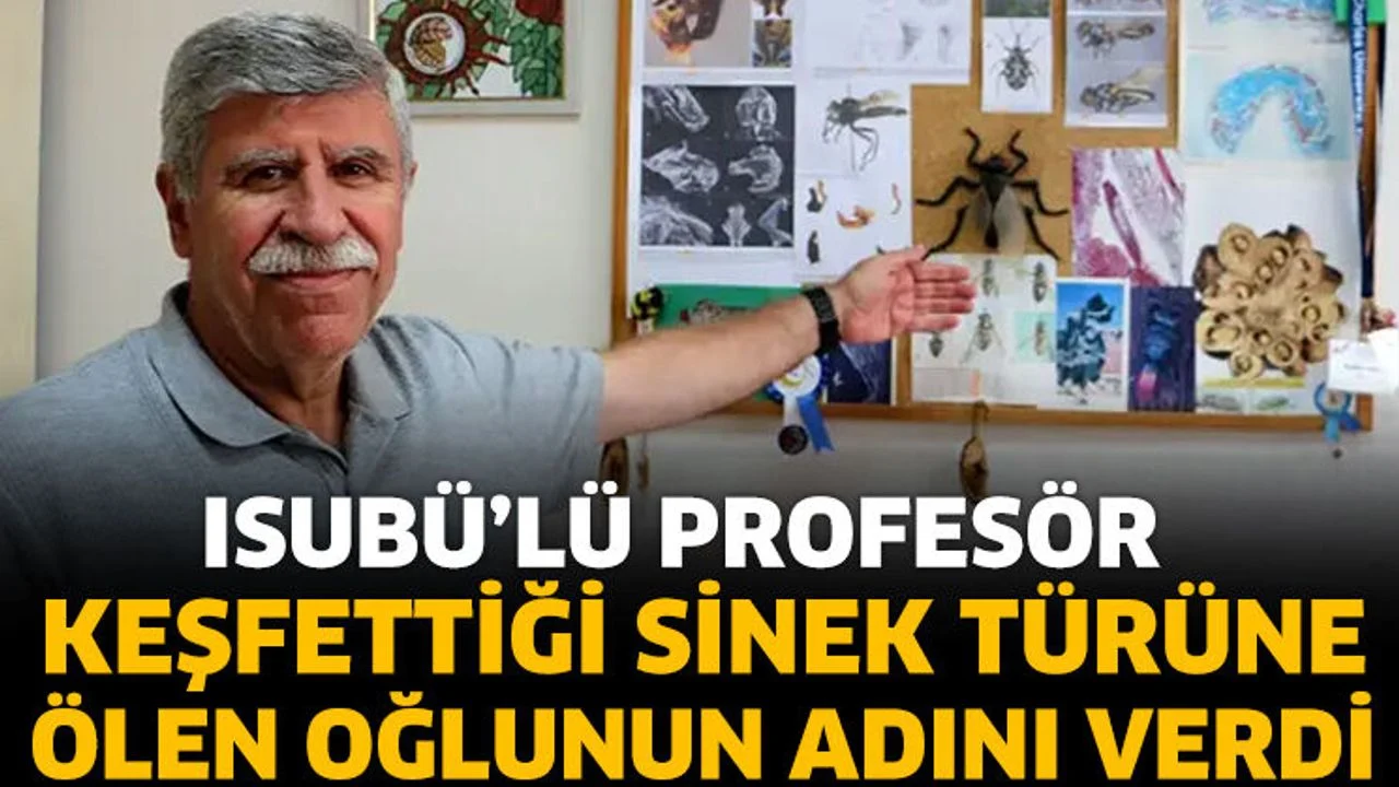 Profesör, keşfettiği sinek türüne ölen oğlunun adını verdi