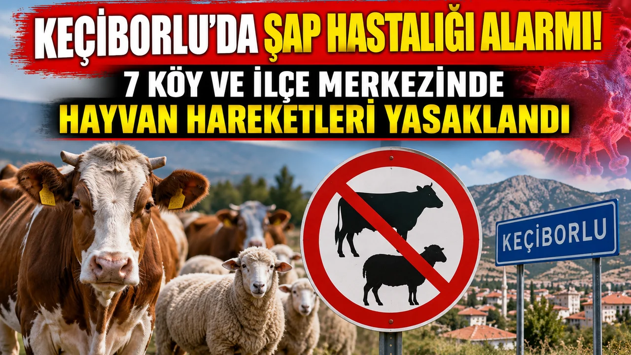 KEÇİBORLU’DA ŞAP HASTALIĞI ALARMI! 7 KÖY VE İLÇE MERKEZİNDE HAYVAN HAREKETLERİ YASAKLANDI