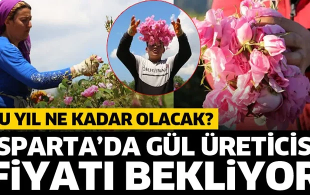 Isparta’da gül üreticisi fiyatı bekliyor