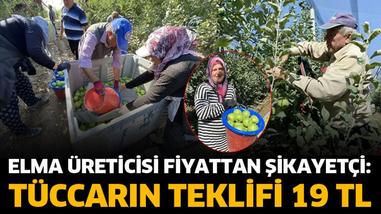 Elma üreticisi fiyattan şikayetçi: Tüccarın teklifi 19 TL