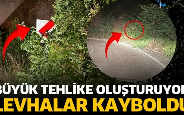 Büyük tehlike! Ağaçların dallarının arasında kayboldu